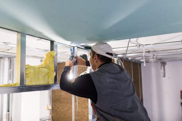 Best Commercial Insulation Contractor  in De Soto, MO