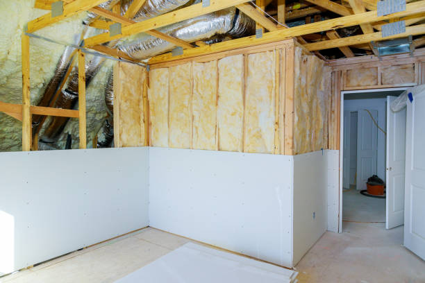 Best Insulation Replacement Services  in De Soto, MO