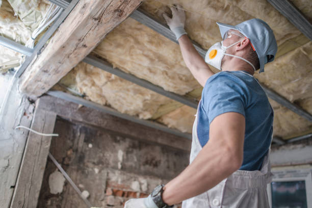 Best Garage Insulation Installation  in De Soto, MO