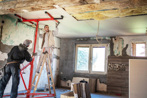 Best Spray Foam Insulation  in De Soto, MO