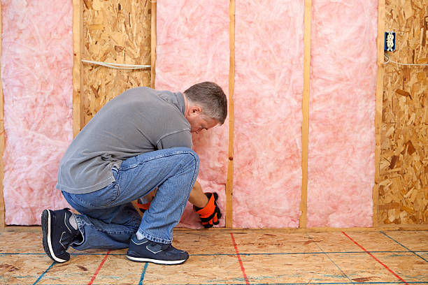Best Insulation Contractor Near Me  in De Soto, MO