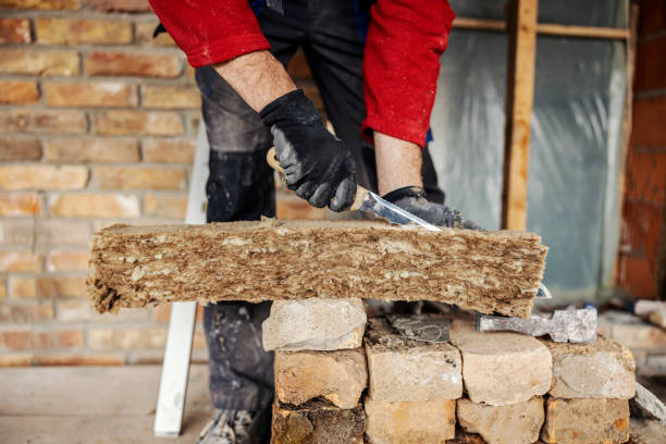 Best Insulation Removal  in De Soto, MO