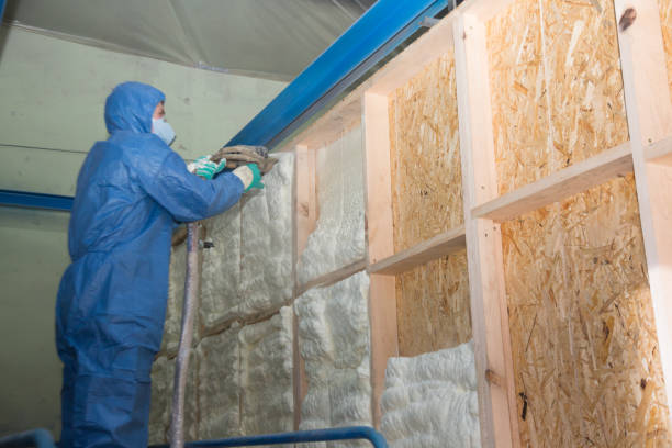 Insulation Inspection Services in De Soto, MO