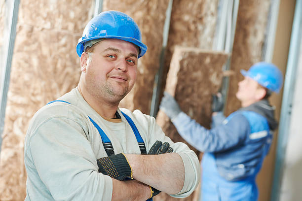 Best Affordable Insulation Services  in De Soto, MO