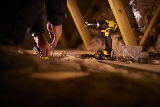 Best Insulation Removal Services  in De Soto, MO