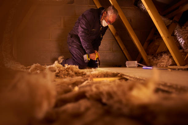 Best Professional Insulation Contractor  in De Soto, MO