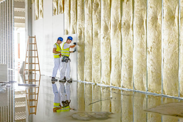 Best Insulation Contractor Near Me  in De Soto, MO